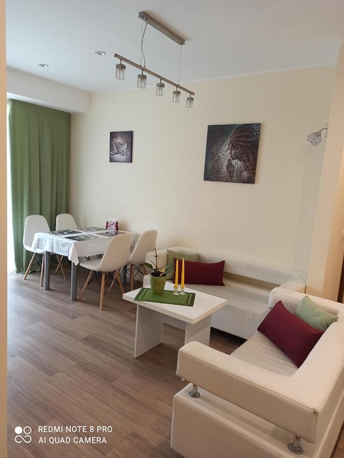 Nelli Apartamentai Druskininkai Exterior foto